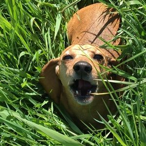 Meet your Posher, Carolyn